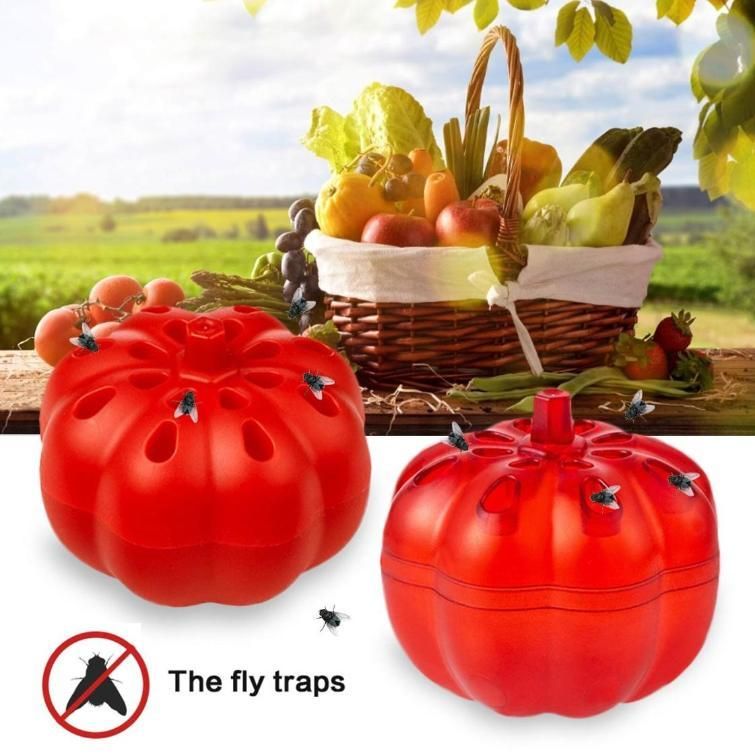 Fruit Fly Trap Pack of 2