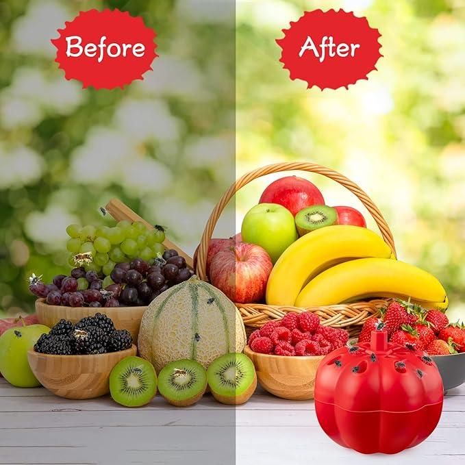 Fruit Fly Trap Pack of 2